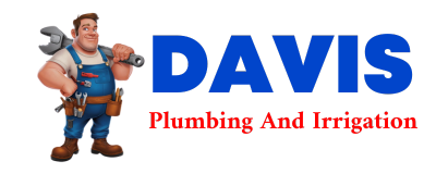 Trusted plumber in LEWIS